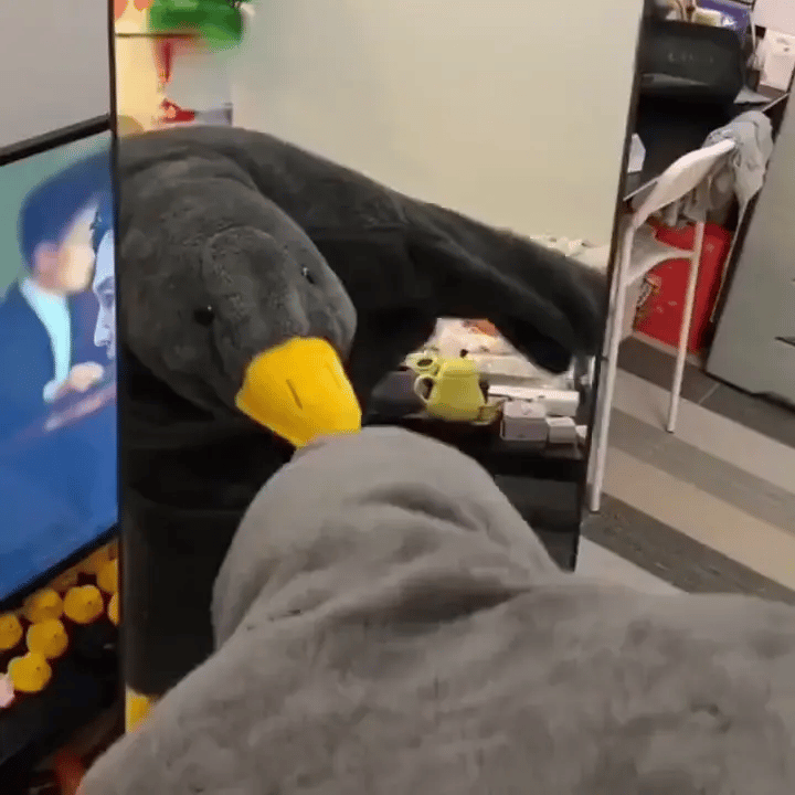 Wearable Silly Goose Blanket